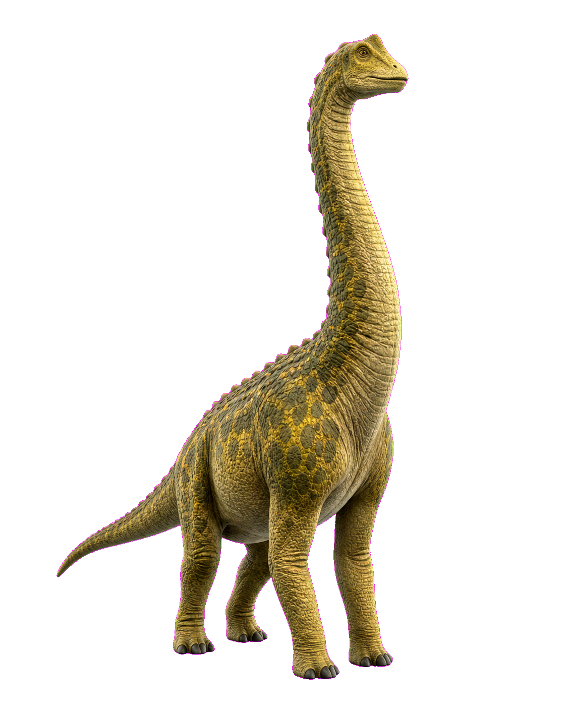 Bronto the Brachiosaurus